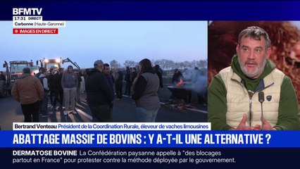 Dermatose bovine: Bertrand Venteau, président de la Coordination Rurale, appelle à "vacciner [les animaux] pour être protégé le plus vite possible"