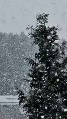 ✨ “Christmas feels warmer when it snows.” #snowing #Christmas🎅 “Believe in the magic of Santa.”🎅 #santaclaus15 days until Christmas 🎄🤍   @top fans