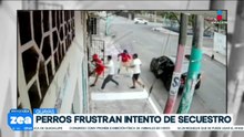 VIDEO: Perros frustran intento de secuestro de adulto mayor