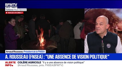 Dermatose bovine: "Sur la maladie, il faut qu'on aille vite pour l'éradiquer", déclare Arnaud Rousseau (FNSEA)