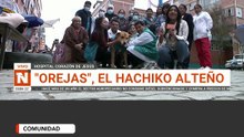 Él es “Orejas”, conocido por muchos como el Hachiko alteño