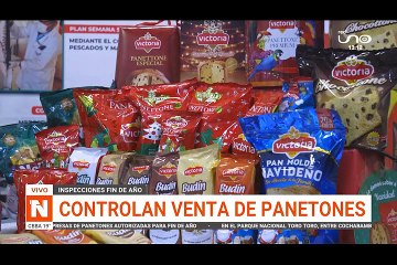 ¿Panetones, cómo verificar que son aptos para el consumo?