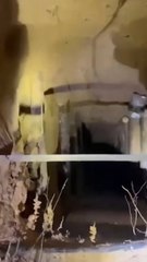 This hidden Belarus border tunnel was used by scores of migrants to cross into Poland