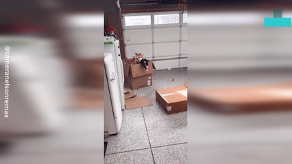 Kids Caught Making Their Own ‘snow’ Using Packing Materials