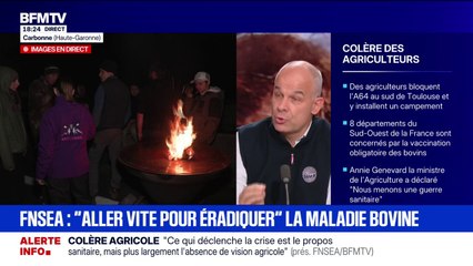 Situation agricole en France: "Cela fait des mois que c'est un sujet inflammable", dit Arnaud Rousseau (FNSEA)