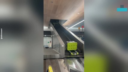 Artist’s Supply Case Explodes Across Baggage Carousel
