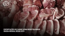 Exportações de carne suína registram maior queda mensal desde 2015