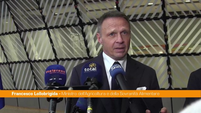 Mercosur, Lollobrigida Abbiamo richiesto e ottenuto un fondo di garanzia