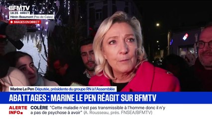Dermatose bovine: "C'est la goutte d'eau qui fait déborder le vase. Ils n'en peuvent plus nos agriculteurs", affirme Marine Le Pen (RN), à propos des abattages
