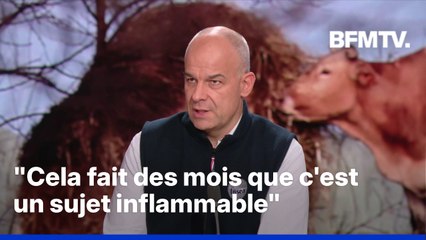 Colère des agriculteurs, dermatose bovine... L'interview en intégralité d'Arnaud Rousseau (FNSEA)