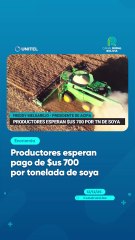 Productores esperan pago de $us 700 por tonelada de soya