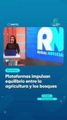 Plataformas impulsan equilibrio entre la agricultura y los bosques