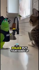 American parrot speaking English! Funny talking parrot