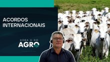Acordo Mercosul-UE e EUDR: o que muda para o Brasil e para o agro? | HORA H DO AGRO