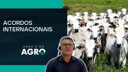 Acordo Mercosul-UE e EUDR: o que muda para o Brasil e para o agro? | HORA H DO AGRO