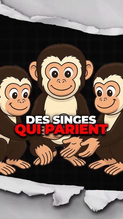 Des singes qui parient