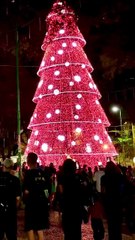 Luzes de Natal em Juiz de Fora é destaque no programa Mais Você
