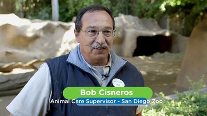 A Sweet Homecoming: These Piglets Just Got the Cutest Welcome