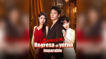 ¡Atención! Regresa el yerno imparable (Doblado) Película Completa