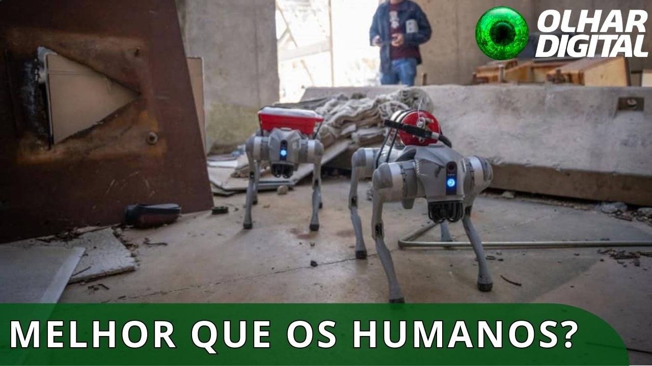 Robô-cão com IA combina visão, memória e to...