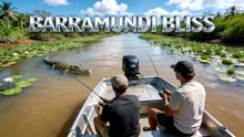 Barramundi Bliss
