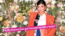 Kylie Jenner Gives Birth   Welcomes 2nd Child With Travis Scott