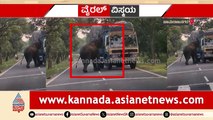 ದಿಂಬಂ ಹೆದ್ದಾರಿಯಲ್ಲಿ ಗಜರಾಜನ ರೌಂಡ್ಸ್.. ಪ್ರಯಾಣಿಕರು ಶಾಕ್..! ವಾಹನ ಅಡ್ಡ ಹಾಕಿ ಫುಡ್ ಚೆಕ್ಕಿಂಗ್.. ಮೊಬೈಲ್​ನಲ್ಲಿ ವಿಡಿಯೋ ಸೆರೆ