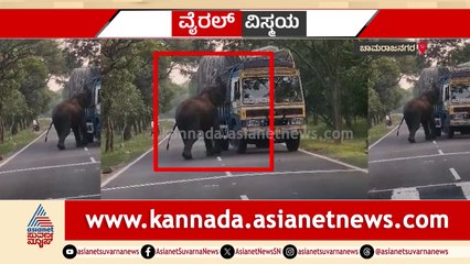 ದಿಂಬಂ ಹೆದ್ದಾರಿಯಲ್ಲಿ ಗಜರಾಜನ ರೌಂಡ್ಸ್.. ಪ್ರಯಾಣಿಕರು ಶಾಕ್..! ವಾಹನ ಅಡ್ಡ ಹಾಕಿ ಫುಡ್ ಚೆಕ್ಕಿಂಗ್.. ಮೊಬೈಲ್​ನಲ್ಲಿ ವಿಡಿಯೋ ಸೆರೆ
