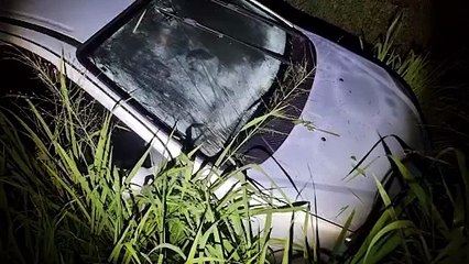 Renault Scenic vai parar em meio ao matagal na BR-163 em Cascavel