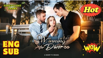 New Winning At Life After Divorce Drama Hub - Full Movie