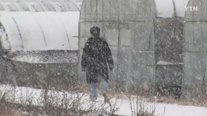 경기 북동부 등 대설 주의보...오후 늦게 많은 눈 / YTN