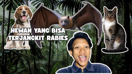 Hewan yang Bisa Terjangkit Rabies-Serius Ini Hewan?