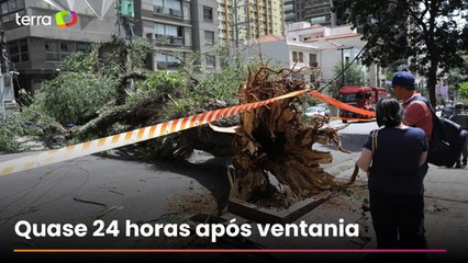 Mais de 1,5 milhão de imóveis seguem sem energia após vendaval em São Paulo