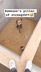 Someones pillar of strength 😂😂😂😂😂😂😂😂😂