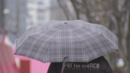 [날씨] 서울 오후 늦게 많은 눈, 최고 7cm...경기·강원 '대설주의보' / YTN