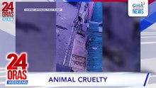 Asong nakapatay umano ng manok, pinagpapalo hanggang sa mamatay | 24 Oras Weekend