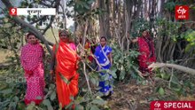 सूरजपुर में 'चिपको आंदोलन', बरगद पेड़ काटने का ग्रामीणों ने किया विरोध
