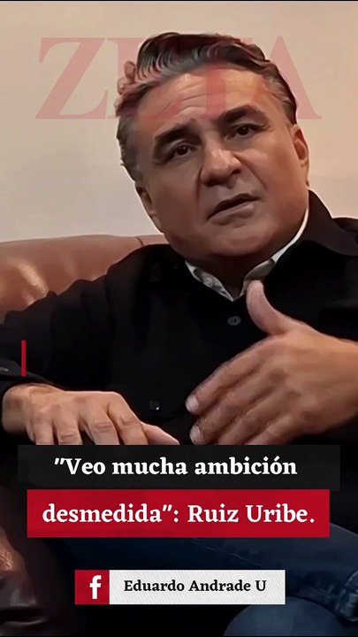 "Veo mucha ambición desmedida": Ruiz Uribe.
