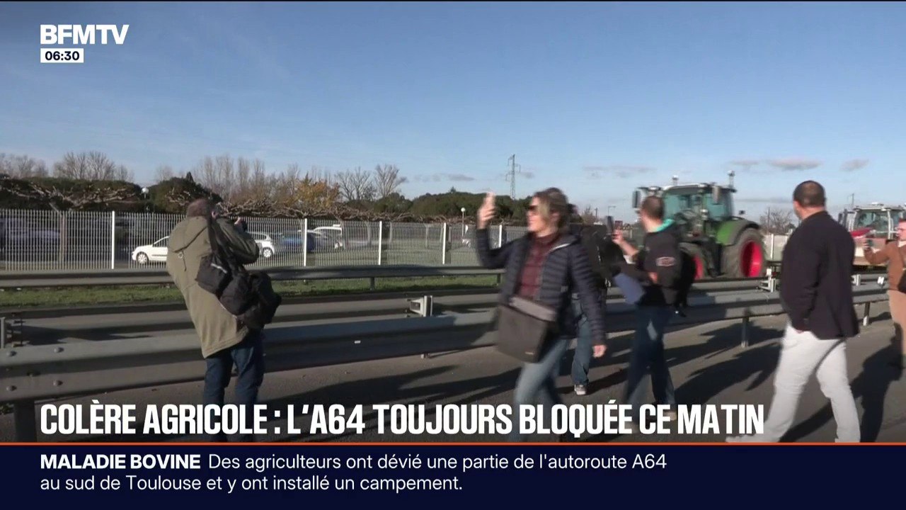 Abattages, Mercosur... De nombreux appels au rassemblement lancés par les syndicats agricoles