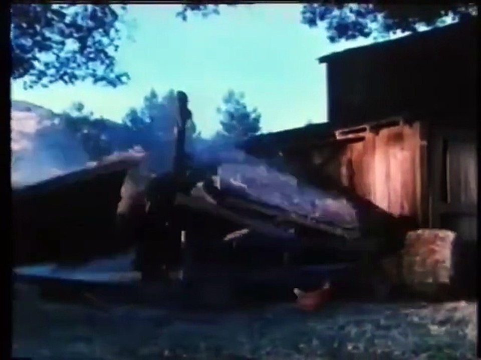 Bis zum letzten Schuss | movie | 1981 | Official Trailer