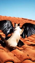 OMG What was that Today's Trending Video