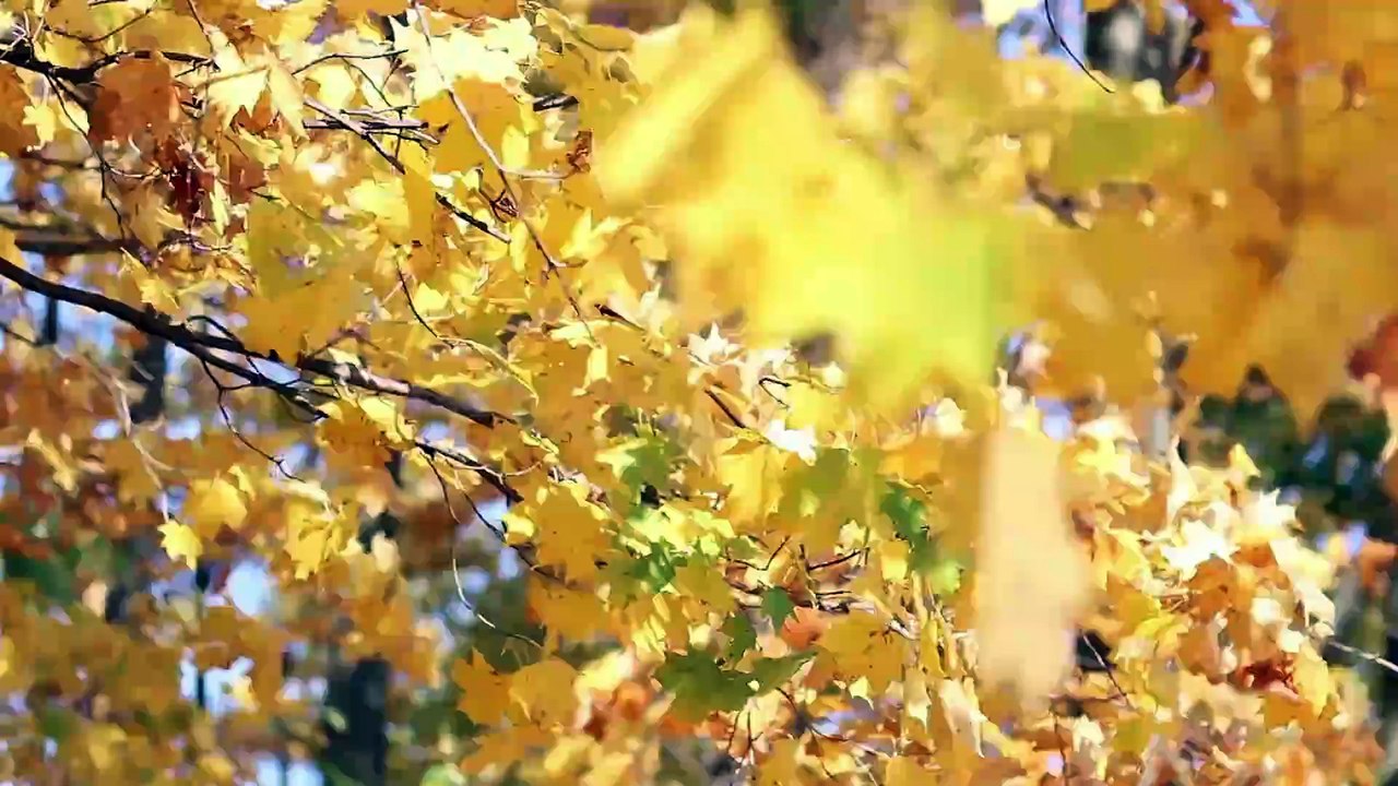 Day28 - 30 Days New You Challenge Malayalam