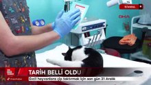 Evcil hayvanlara çip taktırmak için son gün 31 Aralık