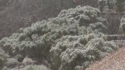 강원 산지 최대 15cm 폭설...눈길 교통사고·시설물 피해 주의 / YTN