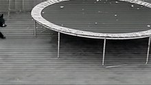 CCTV Footage Bear Caught Jumping on Kids’ Trampoline!