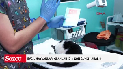Evcil hayvanları olanlar için son gün 31 Aralık