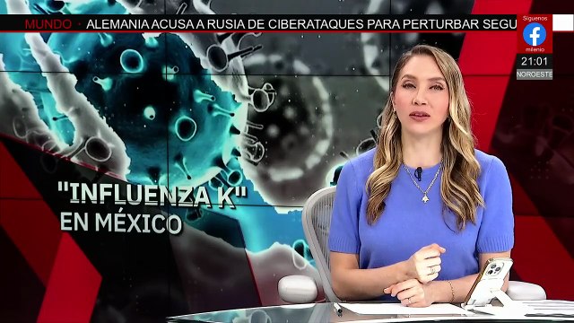Confirman el primer caso de influenza H3N2