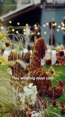 The Mayor's XXL Wife Her Stunning Return