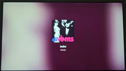 DIVINYLS - Bullet (1991)
