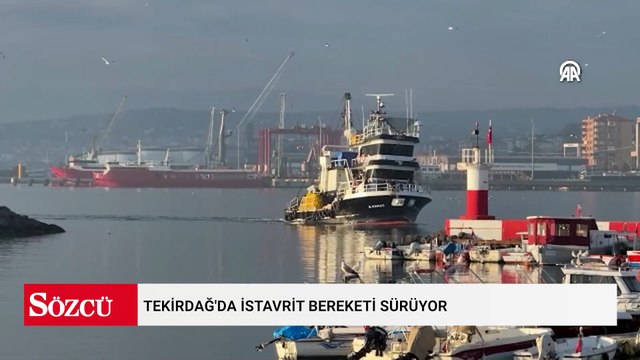 Denize açılan balıkçılar, ağları istavritle dolu şekilde limana dönüyor
